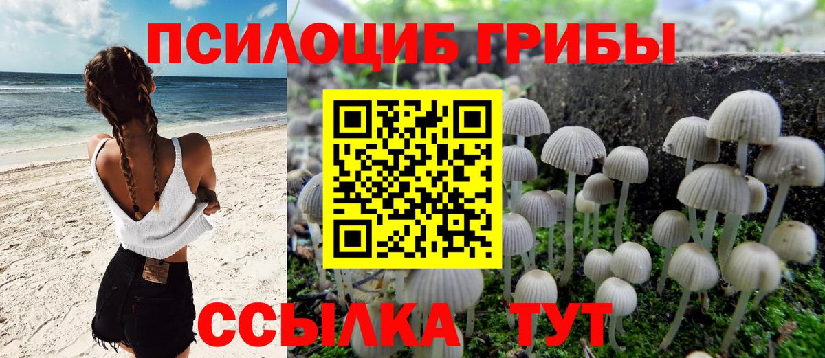 Галлюциногенные грибы Psilocybine cubensis Тихорецк